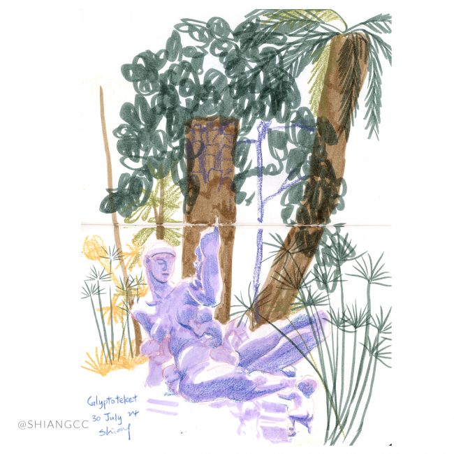 Observation Drawing Collection – 2024